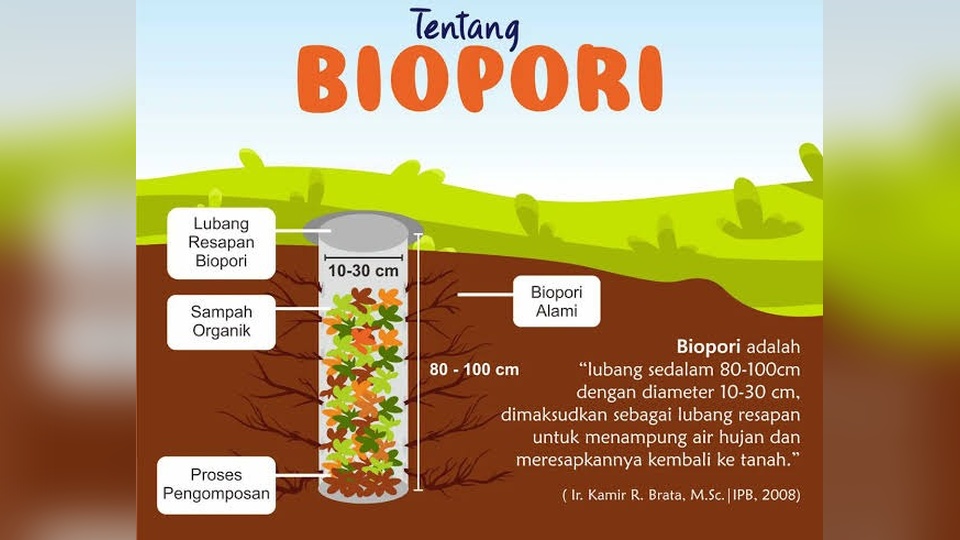 Biopori