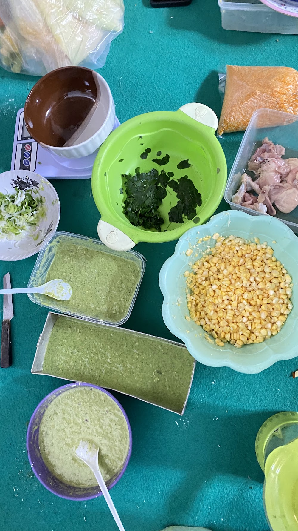 Pembuatan Formulasi Nugget SIJAGO - Foto 1