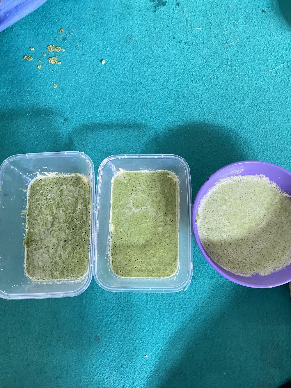 Pembuatan Formulasi Nugget SIJAGO - Foto 3