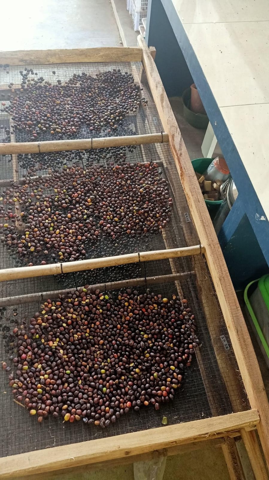 Pembuatan Formulasi Kopi SILOKA - Foto 1