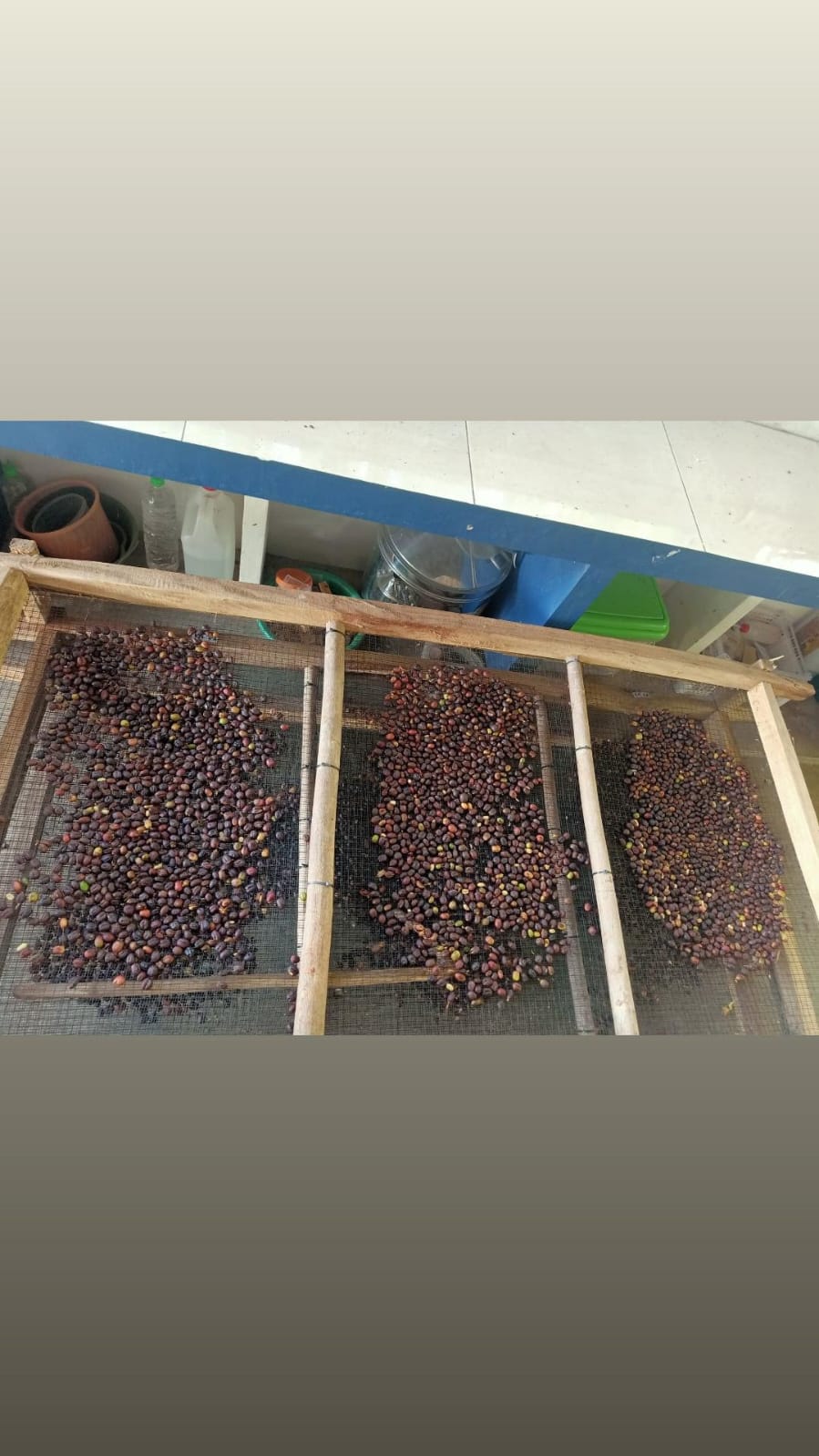 Pembuatan Formulasi Kopi SILOKA - Foto 2